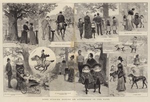 Alcuni studi durante un pomeriggio nel parco